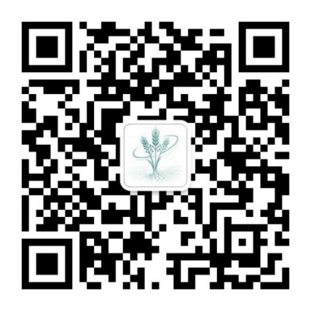 慧耕耘.jpg 慧耕耘.jpg