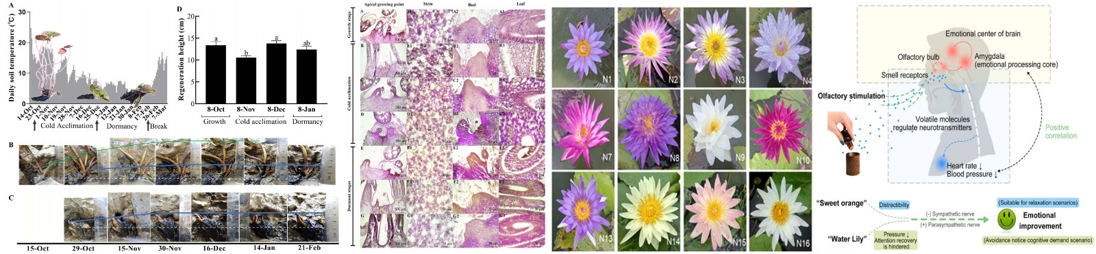 未标题-1.jpg 未标题-1.jpg